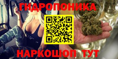 ECSTASY Гусиноозёрск