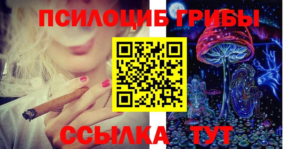 Наро-Фоминск  Псилоцибиновые грибы Psilocybine cubensis  Псилоцибиновые грибы мухоморы  Вход с VPN 