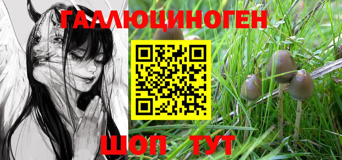 Псилоцибиновые грибы Psilocybine cubensis Наро-Фоминск